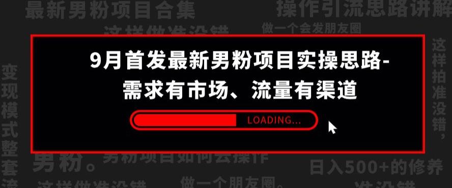 9月首发最新男粉项目实操思路-需求有市场，流量有渠道【揭秘】-第一资源网