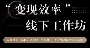 变现效率线下工作坊,从播直间、私域、视短频个三维度,升级IP和团队变现效率-第一资源网