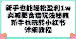 新手也能轻松盈利1w,卖减肥食谱玩法秘籍,新手也玩转小红书详细教程【揭秘】-第一资源网