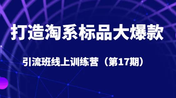 打造淘系标品大爆款引流班线上训练营（第17期）5天直播授课-第一资源网