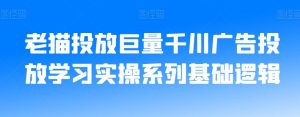 老猫投放巨量千川广告投放学习实操系列基础逻辑-第一资源网