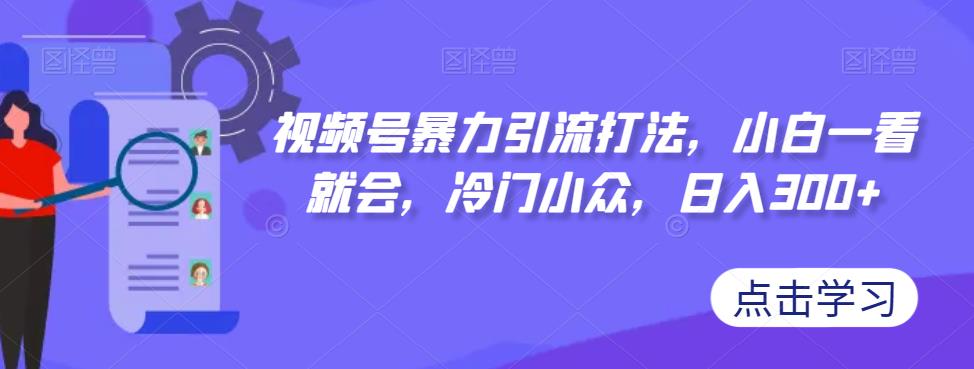 视频号暴力引流打法，小白一看就会，冷门小众，日入300+【揭秘】-第一资源网