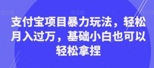 支付宝项目暴力玩法,轻松月入过万,基础小白也可以轻松拿捏【揭秘】-第一资源网