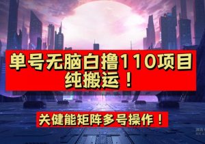 9月全网首发,单号直接白撸110!可多号操作,无脑搬运复制粘贴【揭秘】-第一资源网