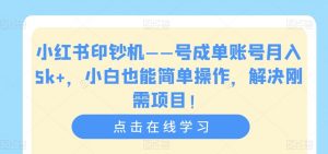 小红书印钞机——号成单账号月入5k+,小白也能简单操作,解决刚需项目【揭秘】-第一资源网