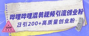 哔哩哔哩B站混剪视频引流创业粉日引300+-第一资源网