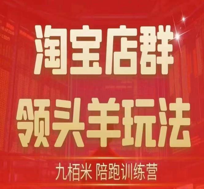 九栢米-淘宝店群领头羊玩法，教你整个淘宝店群领头羊玩法以及精细化/终极蓝海/尾销等内容-第一资源网