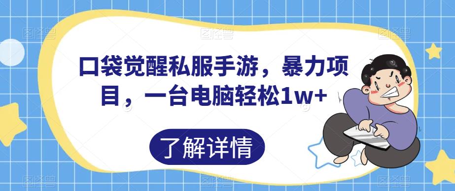 口袋觉醒私服手游，暴力项目，一台电脑轻松1w+【揭秘】-第一资源网