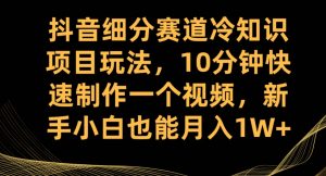 抖音细分赛道冷知识项目玩法,10分钟快速制作一个视频,新手小白也能月入1W+【揭秘】-第一资源网