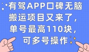 有驾APP口碑无脑搬运项目又来了,单号最高110块,可多号操作-第一资源网