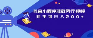 抖音小程序挂载风行视频,新手可日入200+-第一资源网