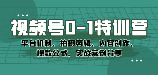 视频号0-1特训营：平台机制、拍摄剪辑、内容创作、爆款公式，实战案例分享-第一资源网