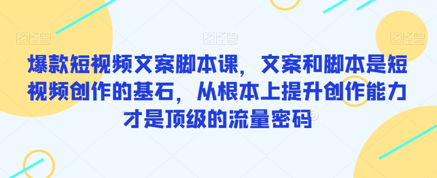 爆款短视频文案脚本课，文案和脚本是短视频创作的基石，从根本上提升创作能力才是顶级的流量密码-第一资源网