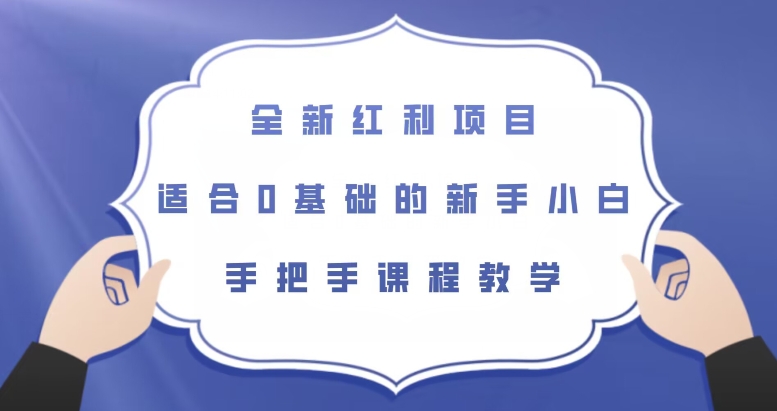 全新红利项目，适合0基础的新手小白，手把手课程教学【揭秘】-第一资源网