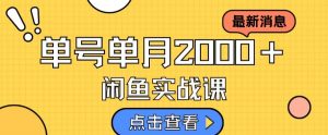 最新闲鱼日入500+,虚拟资料变现喂饭级讲解-第一资源网