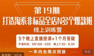 打造淘系非标全店N多个爆款线上课,5天直播课-第一资源网