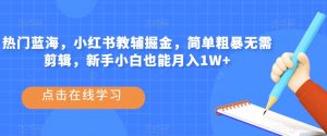 热门蓝海,小红书教辅掘金,简单粗暴无需剪辑,新手小白也能月入1W+【揭秘】-第一资源网