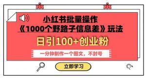 小红书批量操作《1000个野路子信息差》玩法，一分钟制作一个图文，不封号，日引100+创业粉-第一资源网