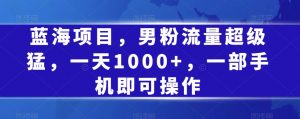 蓝海项目,男粉流量超级猛,一天1000+,一部手机即可操作【揭秘】-第一资源网