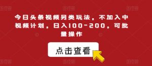今日头条视频另类玩法,不加入中视频计划,日入100-200,可批量操作【揭秘】-第一资源网