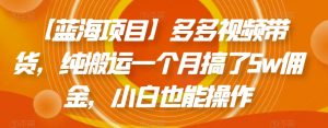 【蓝海项目】多多视频带货,纯搬运一个月搞了5w佣金,小白也能操作【揭秘】-第一资源网