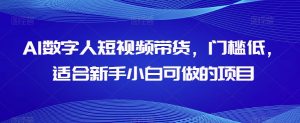 AI数字人短视频带货,门槛低,适合新手小白可做的项目-第一资源网