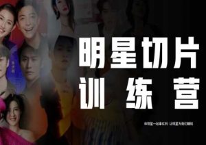王子·明星切片线上训练营(2023),和明星一起拿红利,让明星为我们赚钱-第一资源网