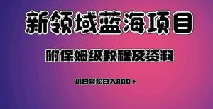 虚拟资源蓝海领域新项目,轻松日入800+,附保姆级教程及资料-第一资源网