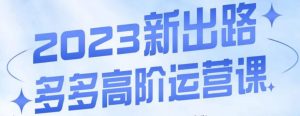 大炮·多多高阶运营课,3大玩法助力打造爆款,实操玩法直接亮出干货-第一资源网