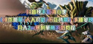 抖音快手蓝海小众(操作简单人人可做不花时间)多种变现月入2w+暴利单机游戏教程-第一资源网