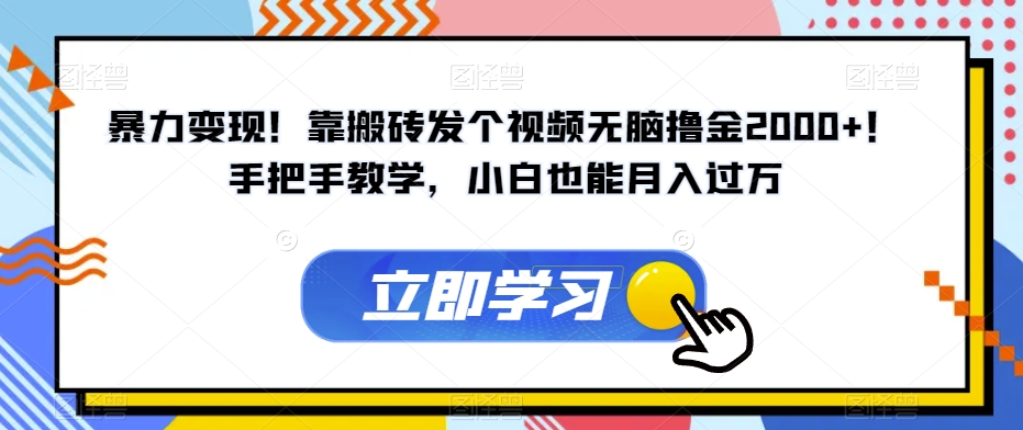 暴力变现！靠搬砖发个视频无脑撸金2000+！手把手教学，小白也能月入过万【揭秘】-第一资源网