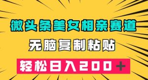微头条冷门美女相亲赛道,无脑复制粘贴,轻松日入200+【揭秘】-第一资源网