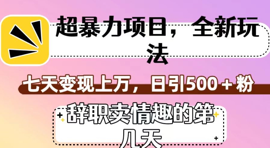 超暴利项目，全新玩法（辞职卖情趣的第几天），七天变现上万，日引500+粉【揭秘】-第一资源网