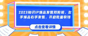 2023知识IP爆品发售双阶班,左手爆品右手发售,开启批量收钱-第一资源网