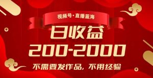 视频号直播蓝海,不需要发作品,不用经验,日入200-2000+【揭秘】-第一资源网