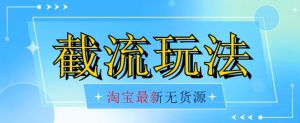 首发价值2980最新淘宝无货源不开车自然流超低成本截流玩法日入300+【揭秘】-第一资源网