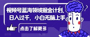 视频号蓝海领域掘金计划,日入过千,小白无脑上手【揭秘】-第一资源网