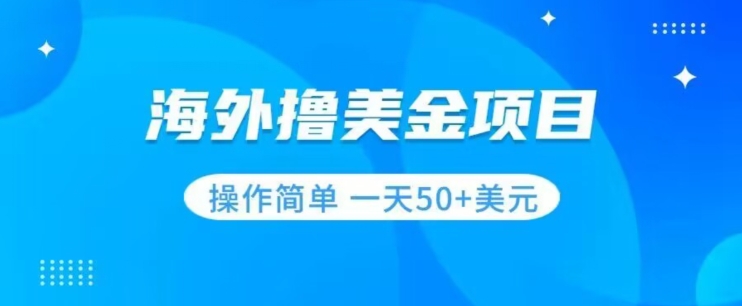撸美金项目无门槛操作简单小白一天50+美刀-第一资源网