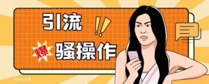 最新引流骚操作,单账号日引50-100,简单粗暴,适合于小白各行各业都可以进行操作,精准粉丝加到爆-第一资源网