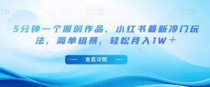 5分钟一个原创作品,小红书最新冷门玩法,简单粗暴,轻松月入1W+【揭秘】-第一资源网