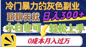冷门暴利的副业项目,聊聊天就能日入300+,0成本月入过万【揭秘】-第一资源网