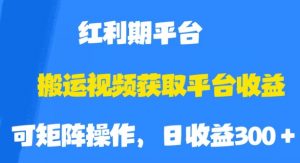 搬运视频获取平台收益,平台红利期,附保姆级教程【揭秘】-第一资源网