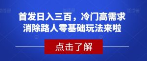 首发日入三百,冷门高需求消除路人零基础玩法来啦【揭秘】-第一资源网