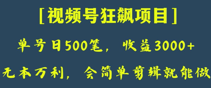 日收款500笔，纯利润3000+，视频号狂飙项目，会简单剪辑就能做【揭秘】-第一资源网