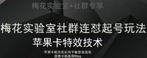 梅花实验室社群视频号连怼起号玩法,最新苹果卡特效技术-第一资源网