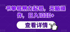 书单号暴力起号,无脑操作,日入1000+【揭秘】-第一资源网