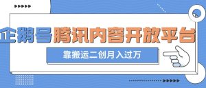 最新蓝海项目,企鹅号腾讯内容开放平台项目,靠搬运二创月入过万【揭秘】-第一资源网