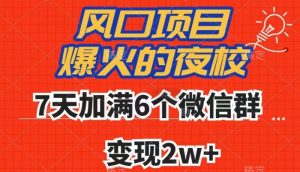 全网首发,爆火的夜校,7天加满6个微信群,变现2w+【揭秘】-第一资源网