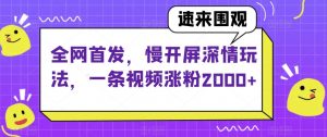 全网首发,慢开屏深情玩法,一条视频涨粉2000+【揭秘】-第一资源网