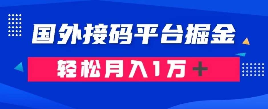 通过国外接码平台掘金：成本1.3，利润10＋，轻松月入1万＋【揭秘】-第一资源网
